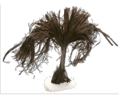 Skulptur aus fossilem Holz