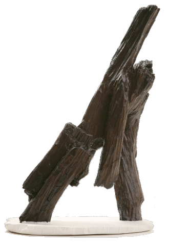 Skultpur aus fossilen H&ouml;lzern